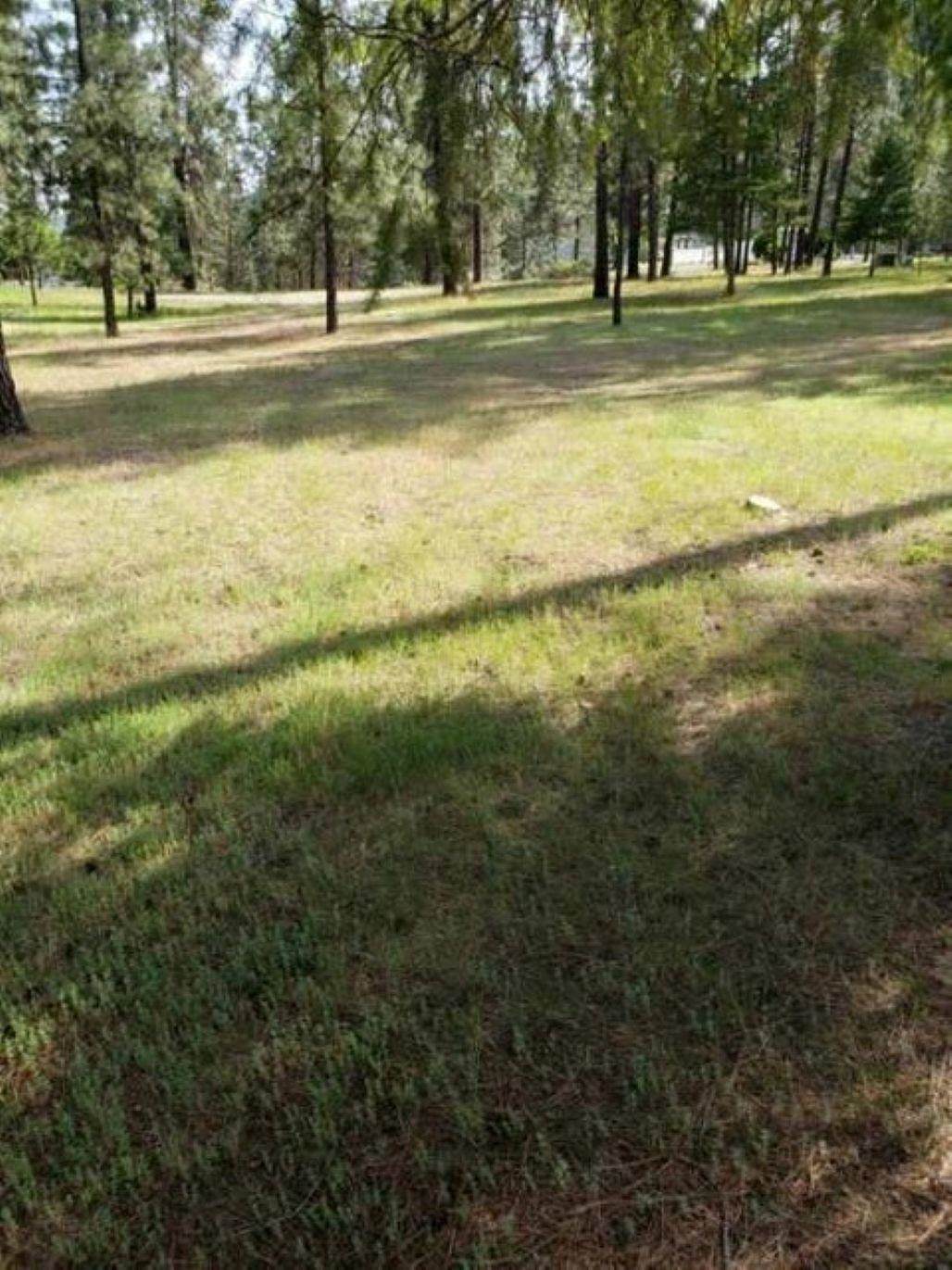256 Eagle Dr - Photo 1