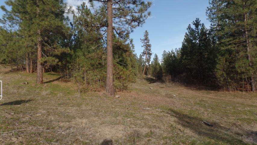 Lot 73 Sherman View Way - Photo 1