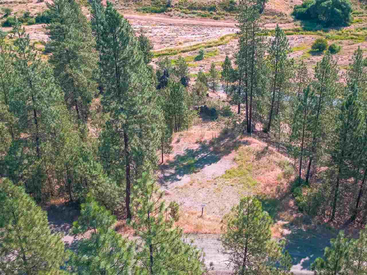 100 Scotch Broom Ln - Photo 1