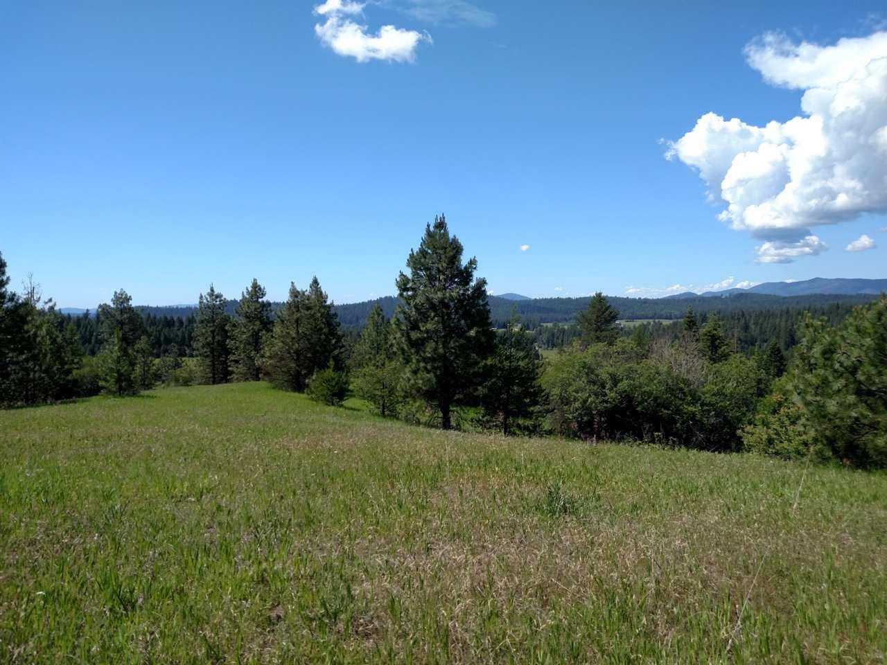 44xxx Whittier Rd - Photo 1