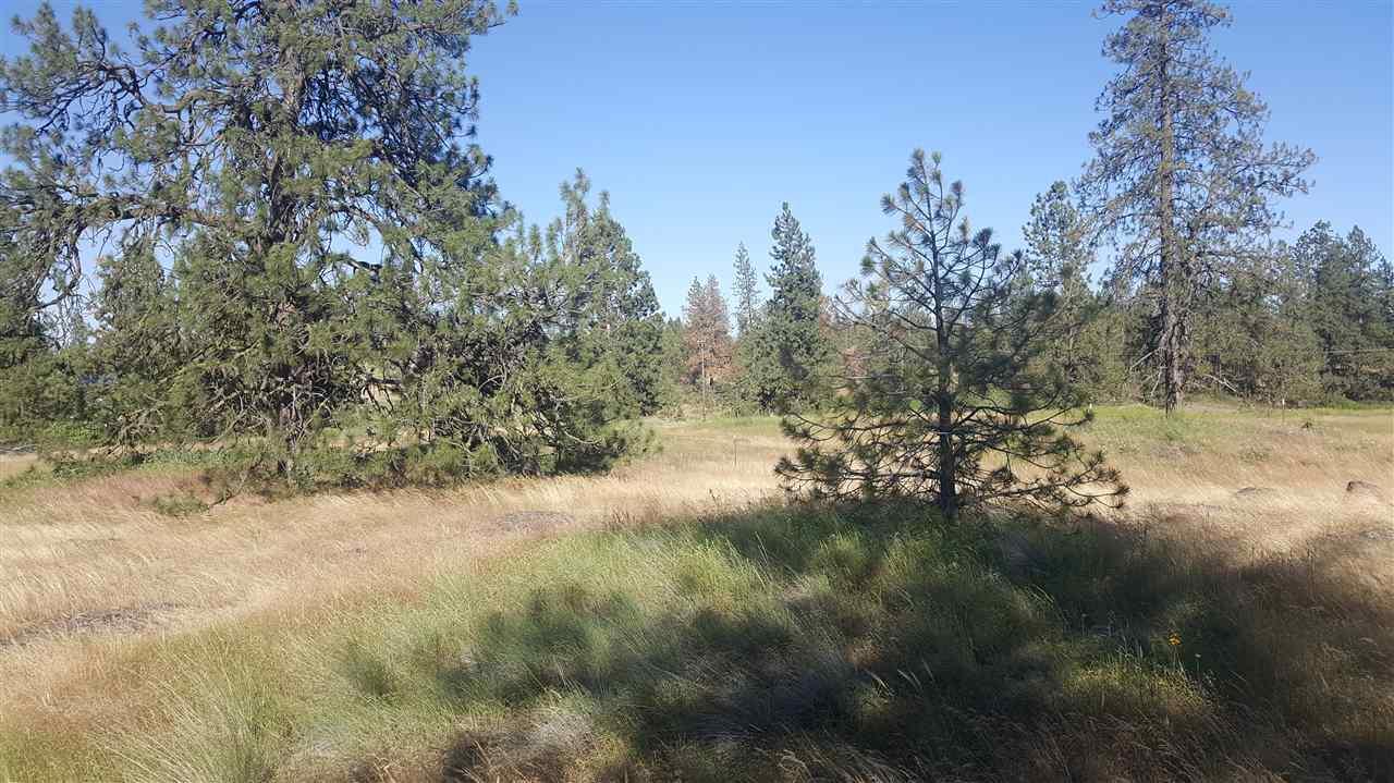 LOT 3 Harrison Rd - Photo 1