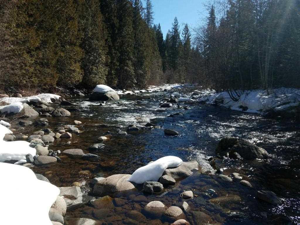 4679 Hwy 25 Hwy - Photo 1