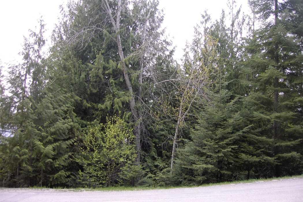 4103 Southwood Shores Rd - Photo 1