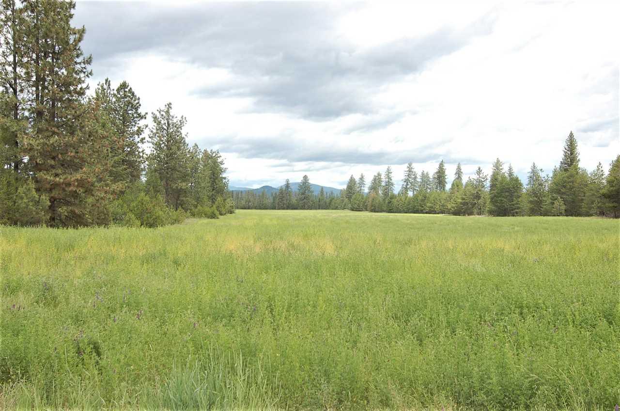 xxx6 Fausett Rd - Photo 1