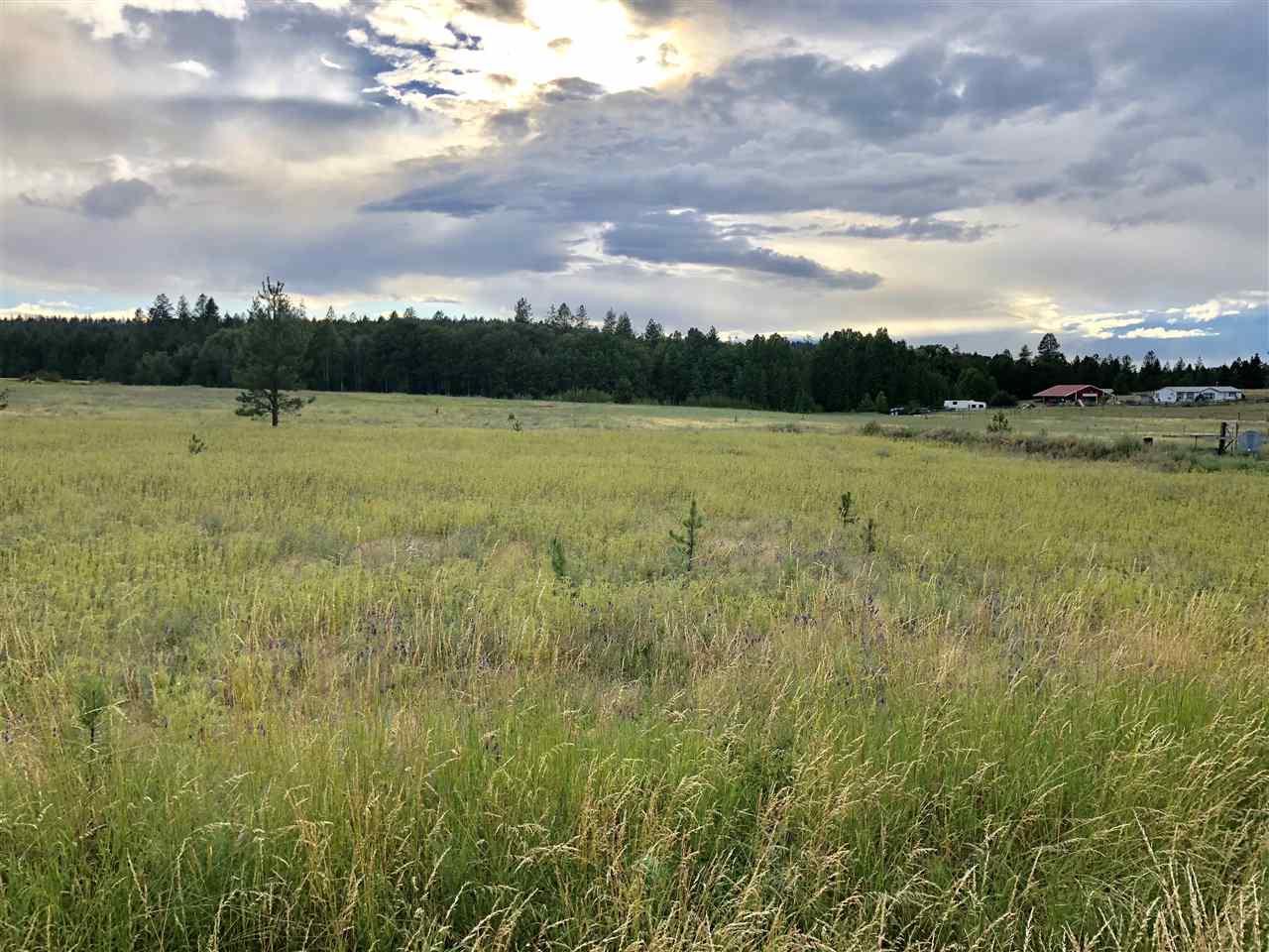000 Elk-Chattaroy Rd - Photo 1