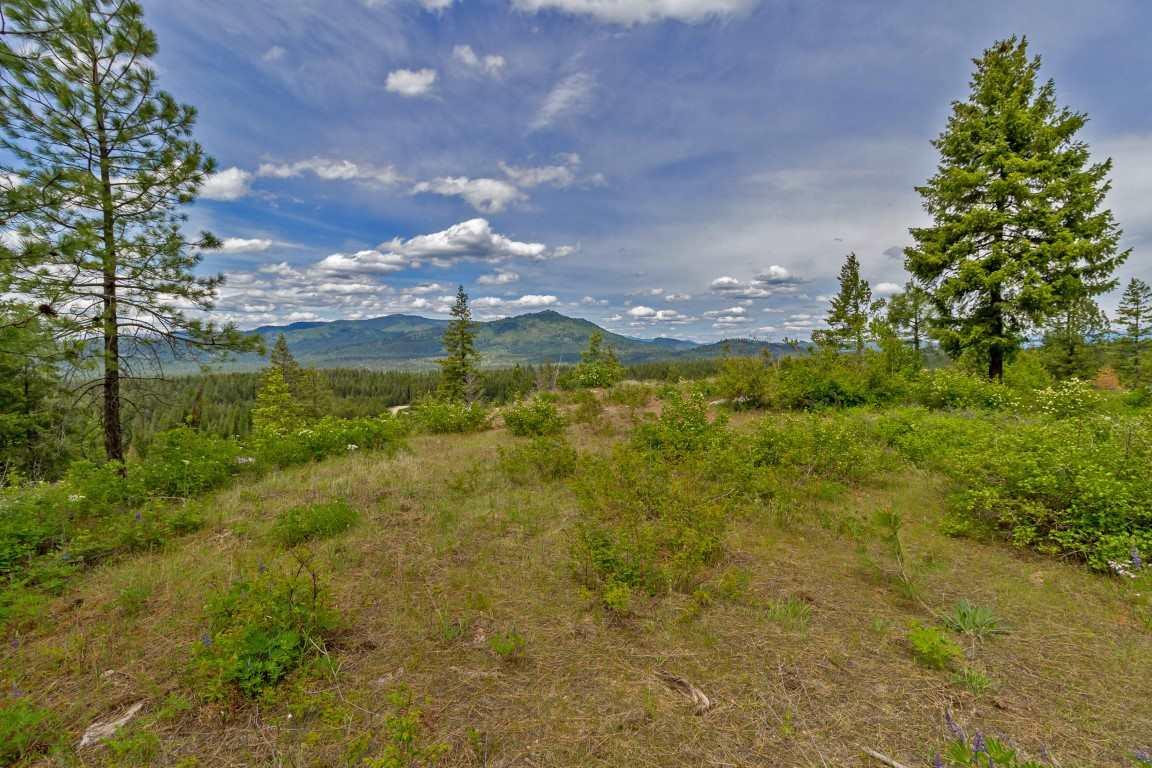 00 Magpie Ln - Photo 1