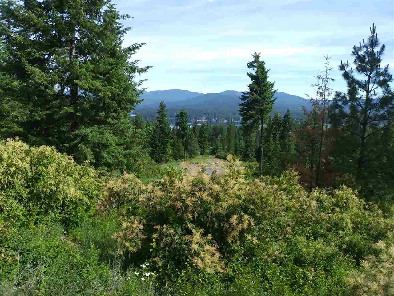 9905 Elk Ln - Photo 1
