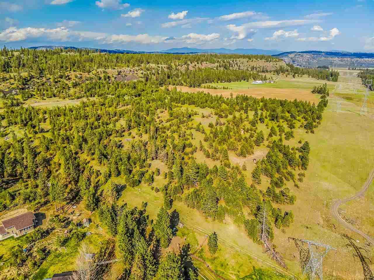 LF Four Mound Rd - Photo 1