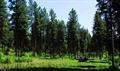 LOT #3 Tillamook Dr - Photo 1