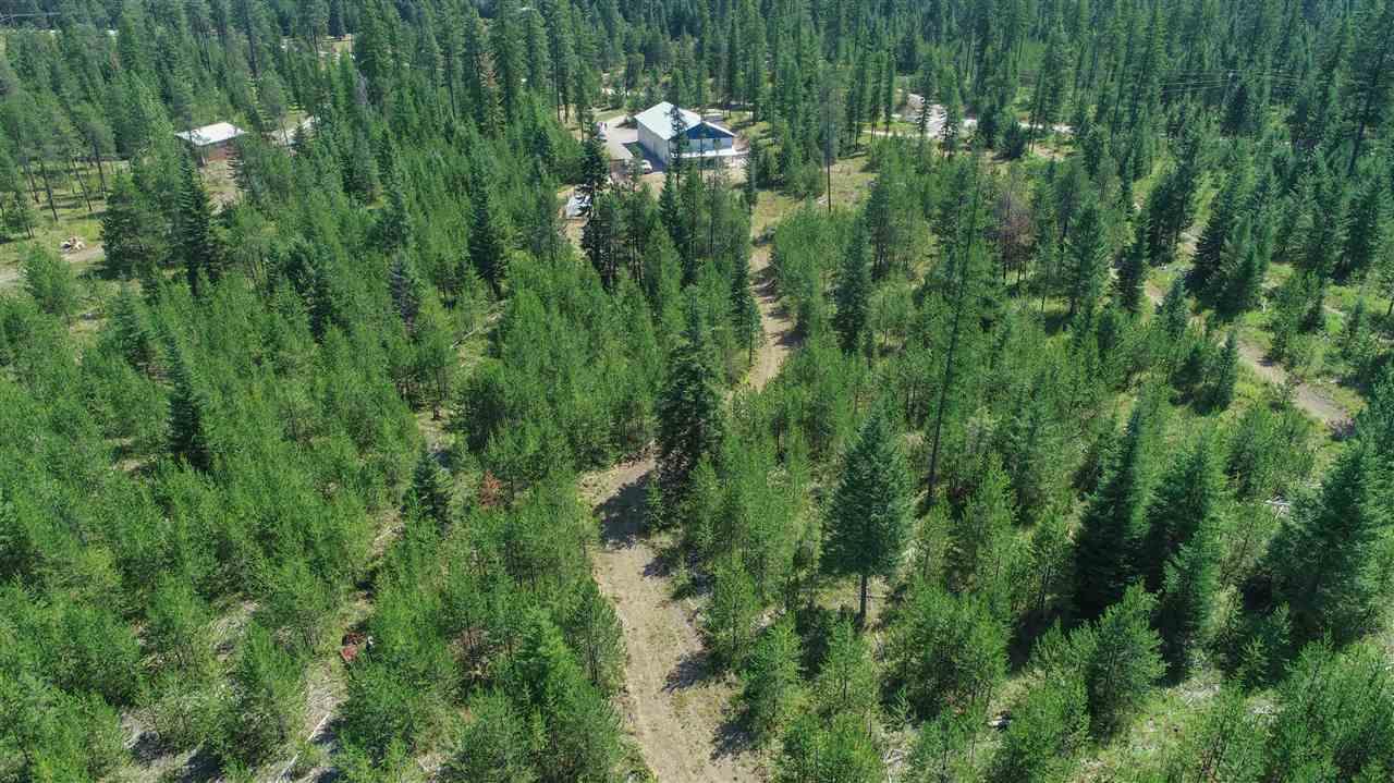 11221 Deer Valley Rd - Photo 1