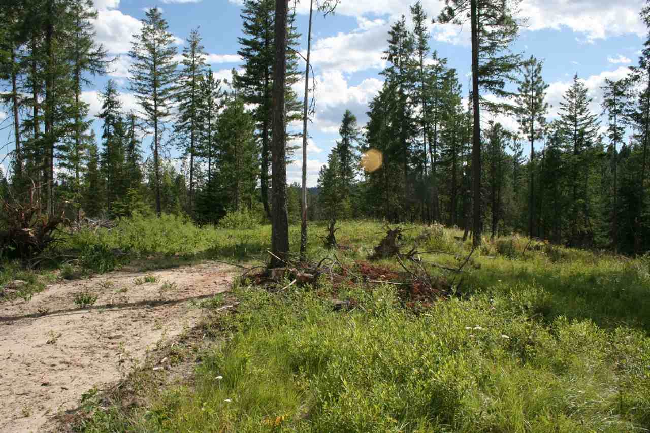 Lot B Olinger Rd - Photo 1
