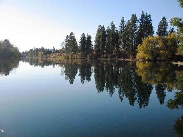 Lot 29 Coyote Rock Ln - Photo 1
