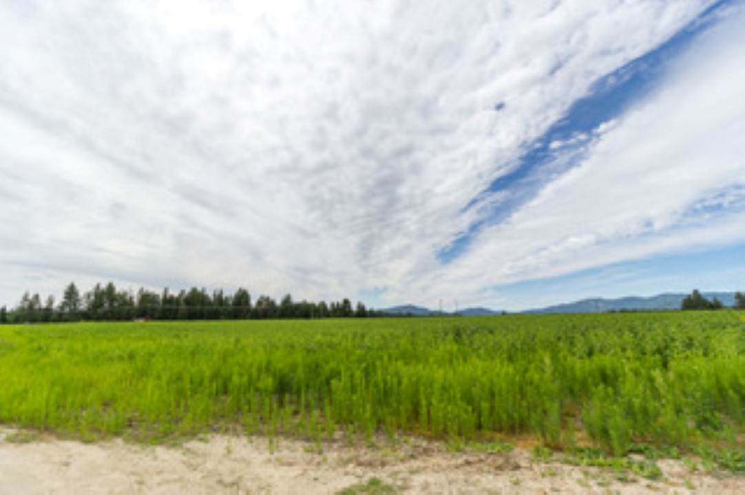 5815 Mule Deer Ln - Photo 1