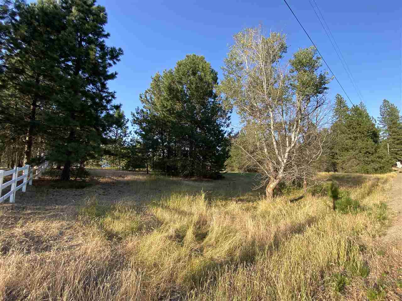 5xx E Rhea Ln - Photo 1