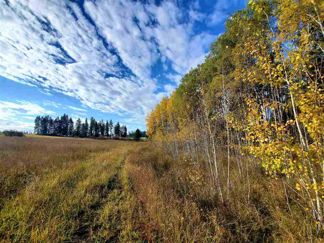 xxx Elk-Chattaroy Rd - Photo 1