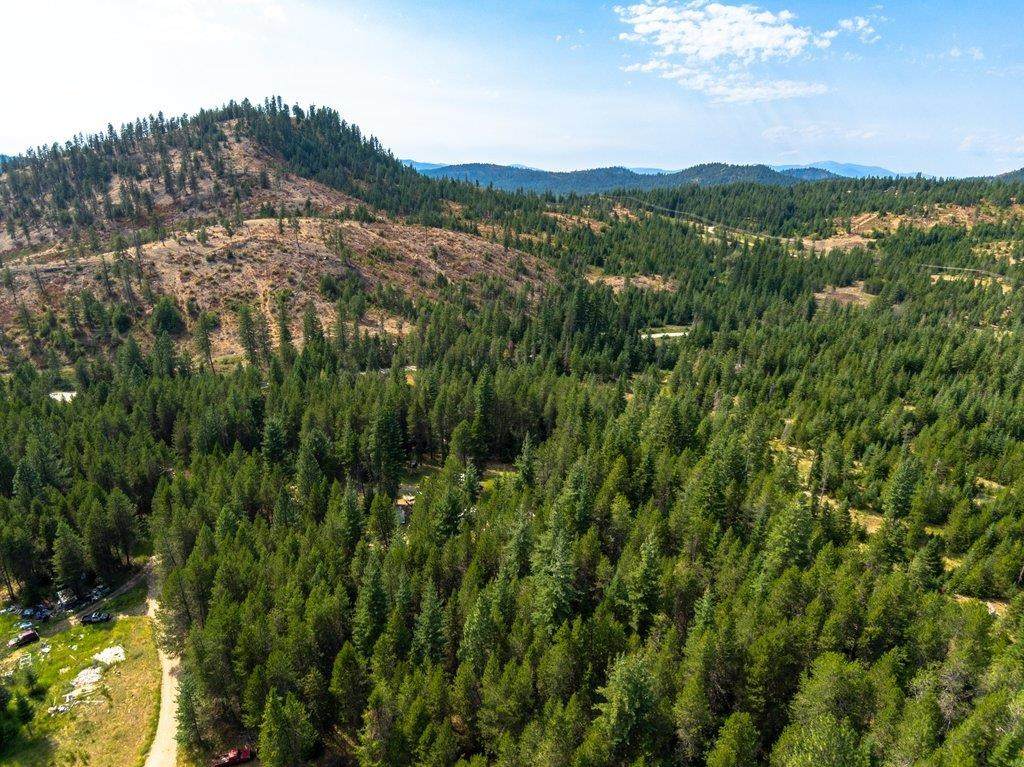 2242 Gray Rd - Photo 1