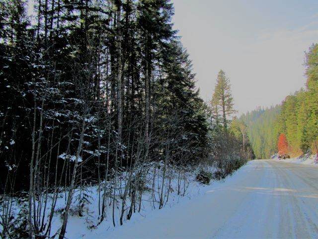 TBD Spring Valley Rd - Photo 1