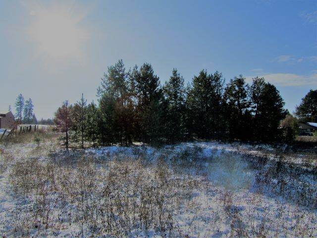 445 Wakefield Rd - Photo 1