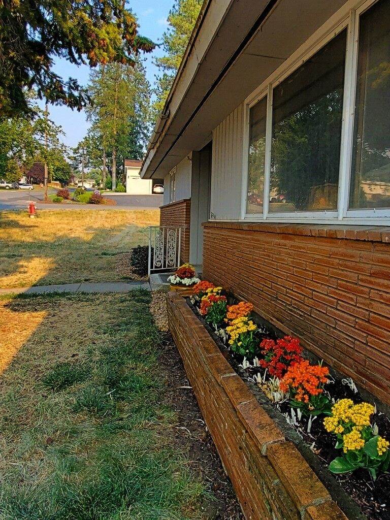 790 Forest Ave - Photo 1