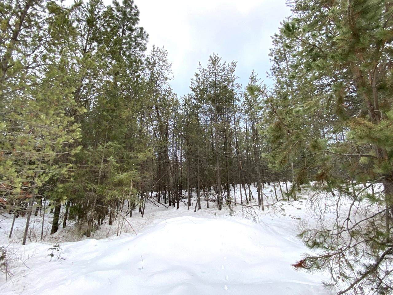 369XX Newport Hwy - Photo 1