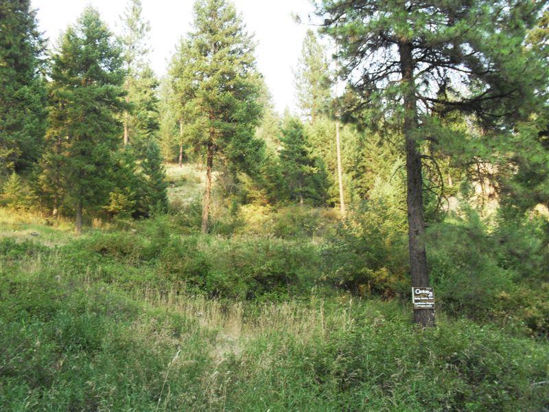 2228 C Marble Valley Basin Rd - Photo 1