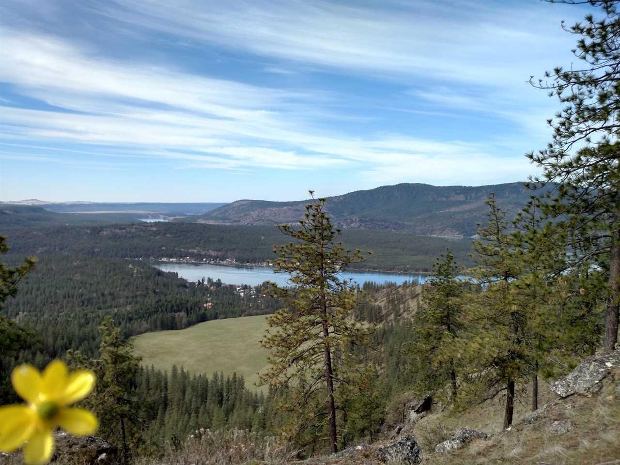 XX Saddle Mountain Way - Photo 1