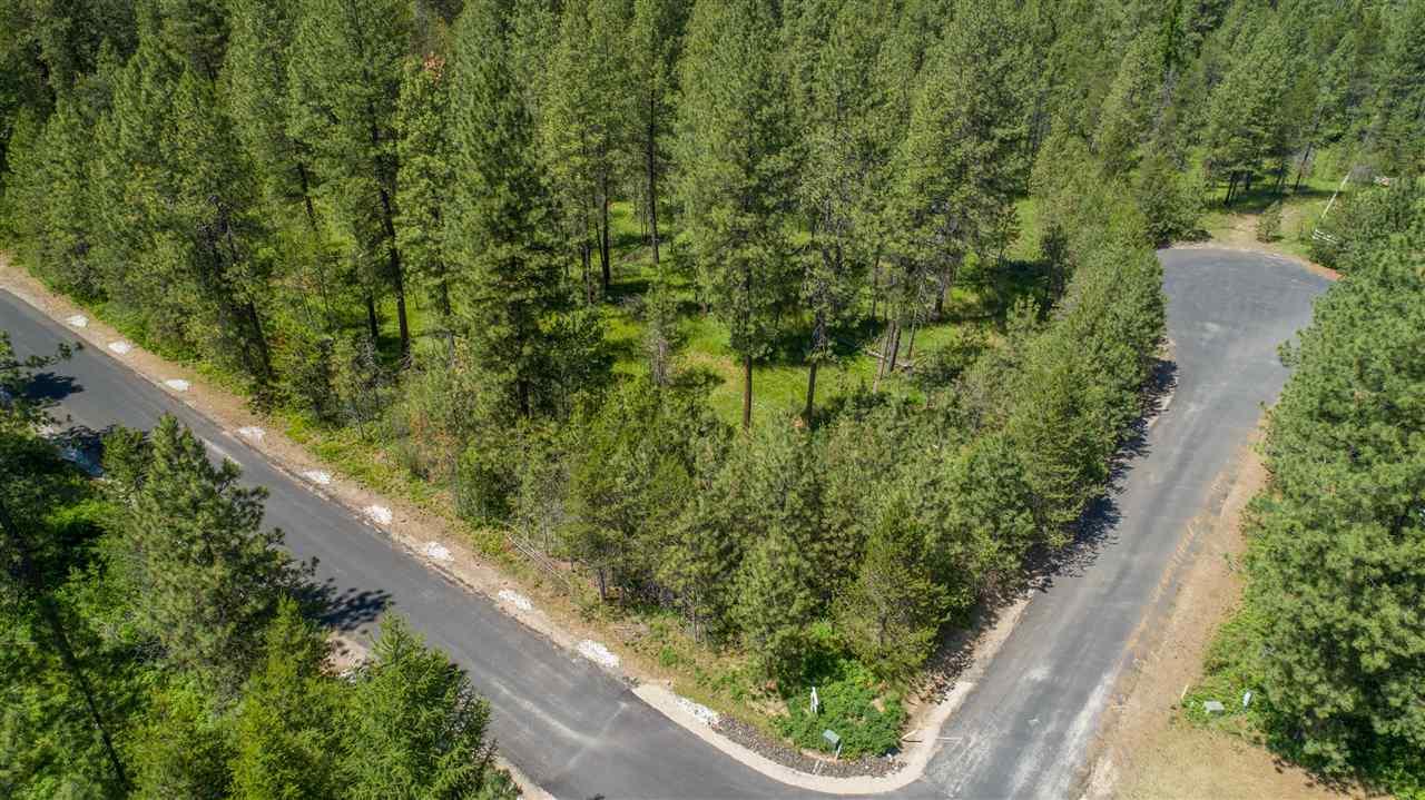 10xx Shelter Ln - Photo 1