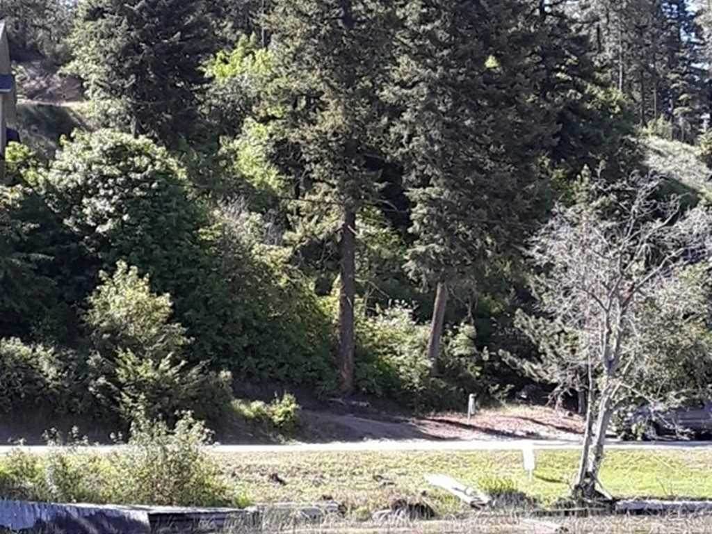 3935 North Beach Way Rd - Photo 1