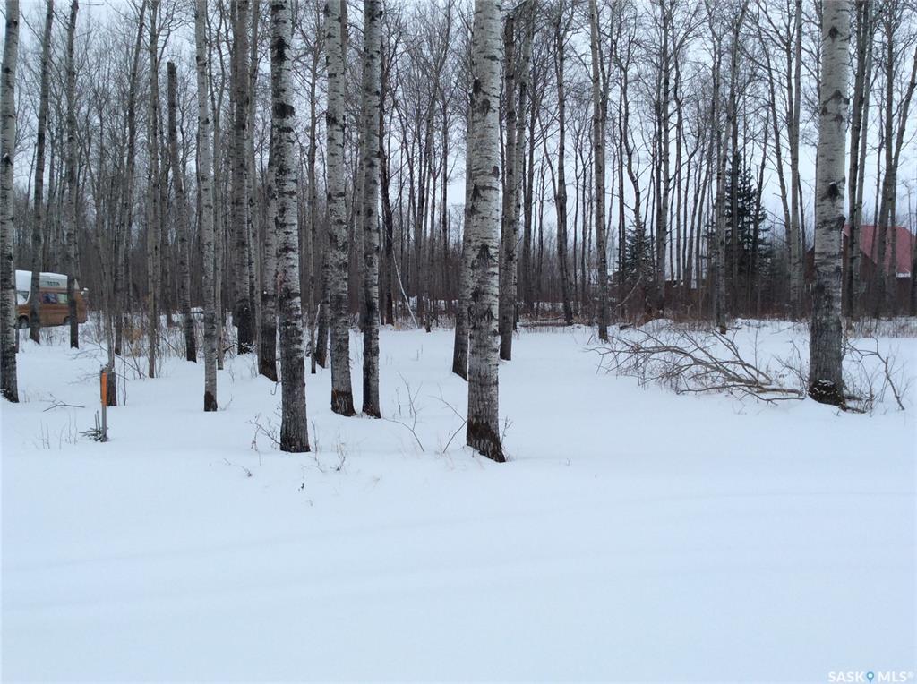 Lot 6 Northwood Crescent - Photo 1