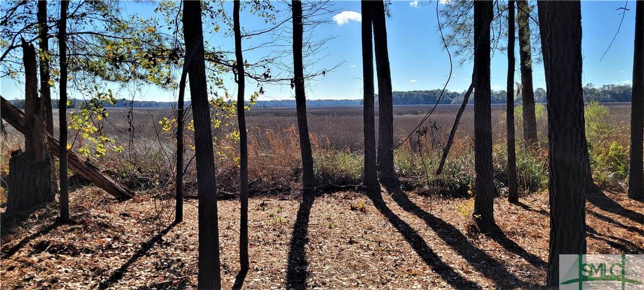 209 Runaway Point Road - Photo 1