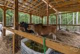 373 Chuck Ellis Road - Photo 29