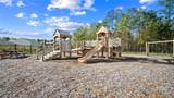 1069 Bergamot Road - Photo 49
