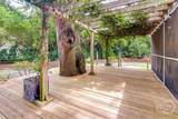 38 Noble Glen Drive - Photo 50