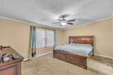 207 Southern Charm Way - Photo 21