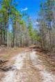 0 Tillman Eason Road - Photo 13