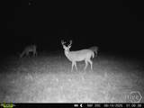 0 Tillman Eason Road - Photo 21