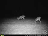 0 Tillman Eason Road - Photo 22