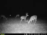 0 Tillman Eason Road - Photo 23