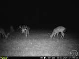0 Tillman Eason Road - Photo 24