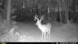 0 Tillman Eason Road - Photo 26