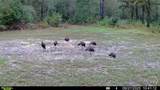 0 Tillman Eason Road - Photo 29