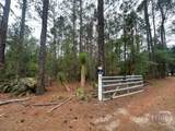 3115 Deer Run Road - Photo 16