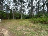 3115 Deer Run Road - Photo 7