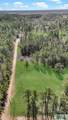 6518 Buchan Road - Photo 16