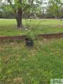 12825 Stillwood Drive - Photo 2