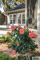 13 Copperfield Drive - Photo 40