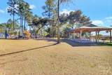 114 Egrets Way Lane - Photo 48