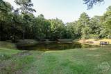 245 Brittingham Road - Photo 41