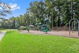 3003 Kingswood Drive - Photo 50