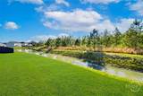 131 Freesia Drive - Photo 38